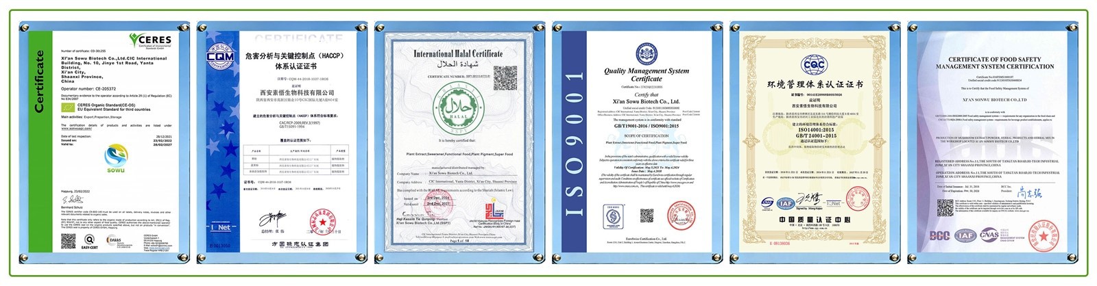 Certificate Overview Certificate Overview